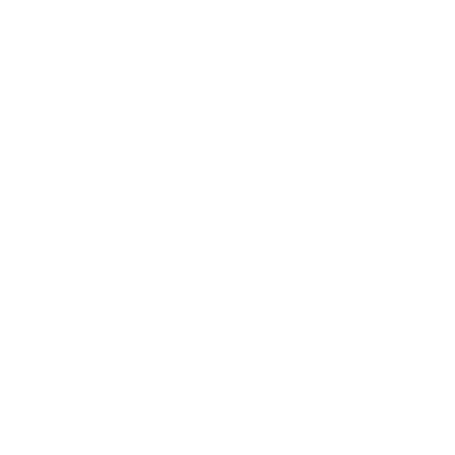 vfm